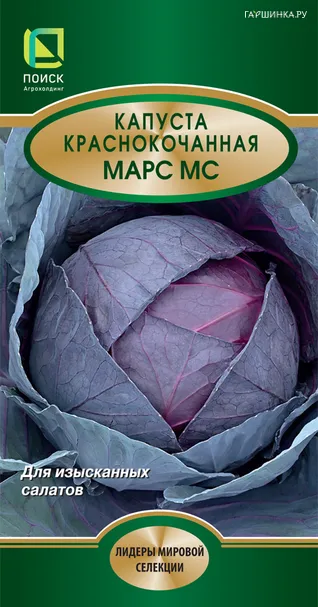 Краснокочанная капуста Марс МС 0,5 г, Семена Поиск