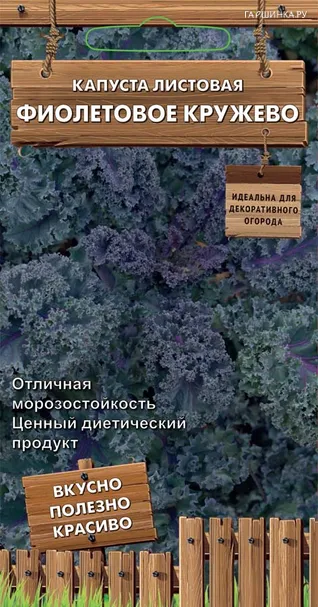 Листовая капуста Фиолетовое кружево 0,1 г, Семена Поиск