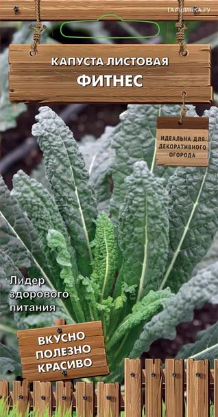 Листовая капуста Фитнес 0,1 г, Семена Поиск