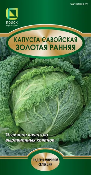 Савойская капуста Золотая ранняя 0,5 г, Семена Поиск