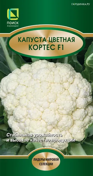 Цветная капуста Кортес F1 20, Семена Поиск