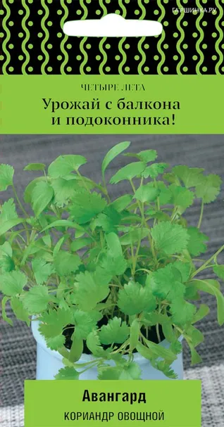 Кинза (Кориандр) Авангард 1 г, Семена Поиск