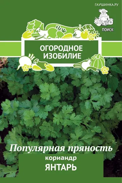 Кинза (Кориандр) Янтарь 3, Семена Поиск
