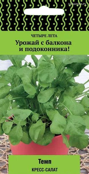 Кресс-салат Темп (А) 1, Поиск