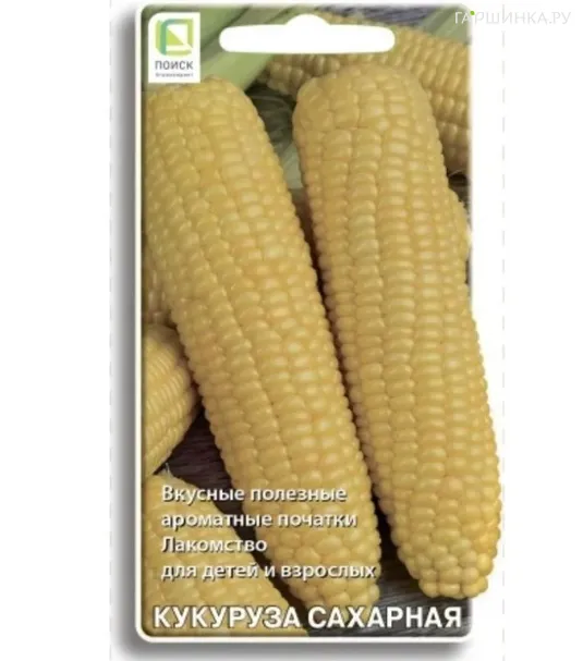 Кукуруза сахарная Алина 5, Поиск