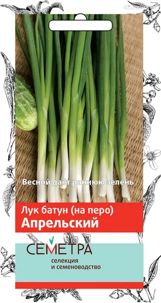 Лук Батун Апрельский 1 г, Семена Поиск
