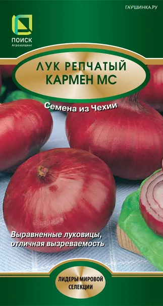 Лук репчатый Кармен МС 1, Поиск
