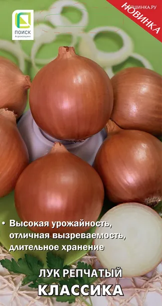 Лук репчатый Классика (А) 1, Поиск
