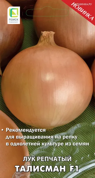 Лук репчатый Талисман F1 (А) 0,5, Поиск