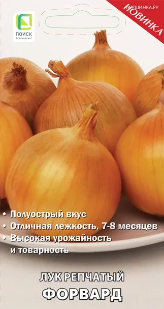 Лук репчатый Форвард (А) 1, Поиск