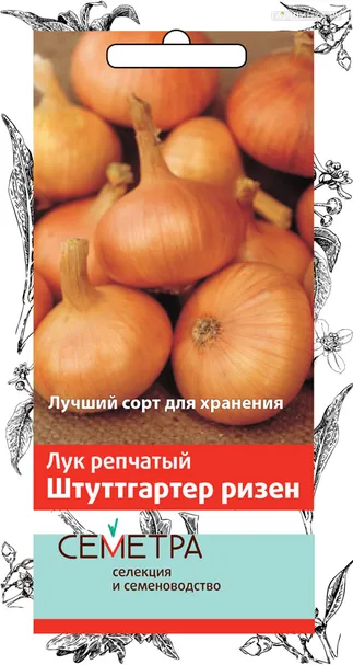 Лук репчатый Штуттгартер ризен 1, Поиск