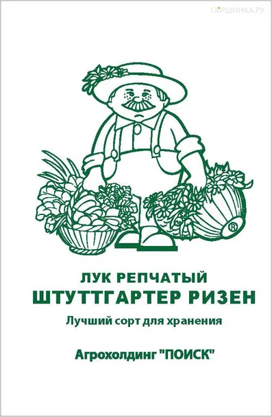 Лук репчатый Штуттгартер ризен 1, Поиск