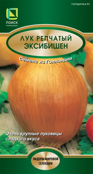 Лук репчатый Эксибишен 0,5, Поиск