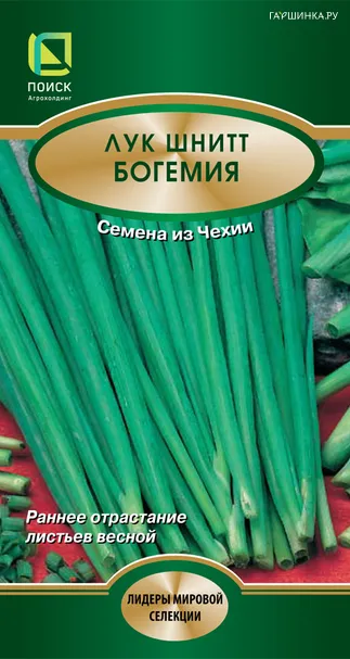 Лук Шнитт Богемия 0,5 г, Семена Поиск