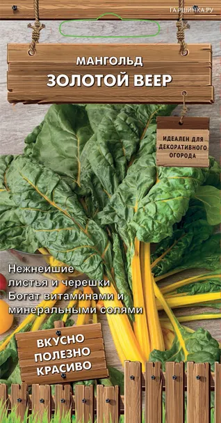 Мангольд (Свекла листовая) Золотой веер (А) 0,5, Семена Поиск