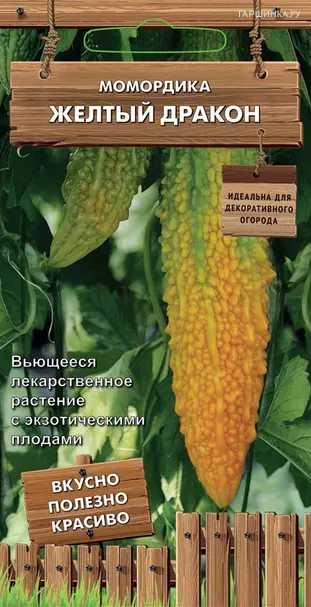 Момордика Желтый дракон 3 шт, Семена Поиск
