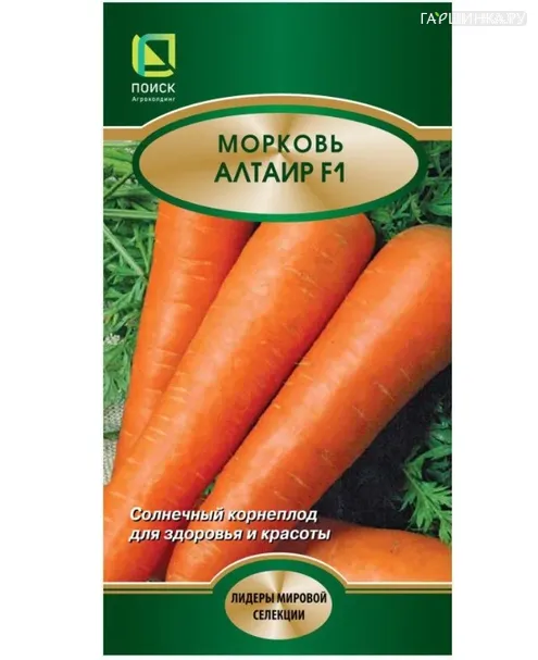 Морковь Алтаир F1 1, Поиск