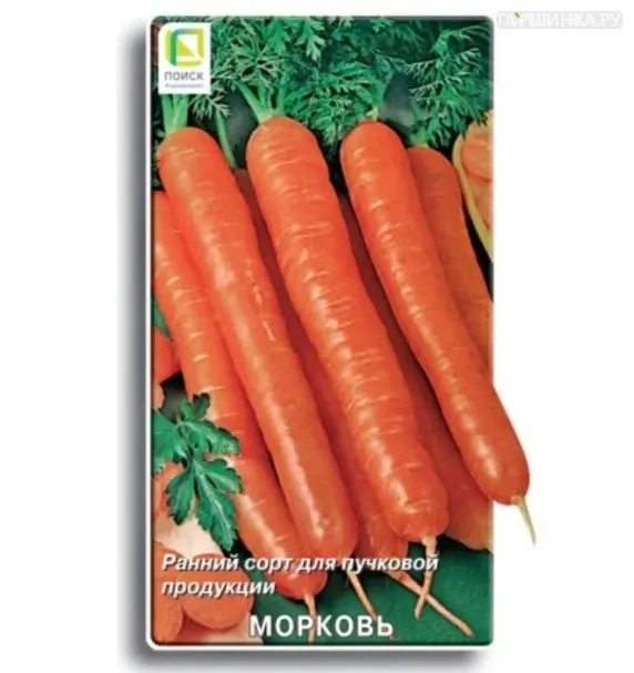 Морковь Амстердамска 2, Поиск