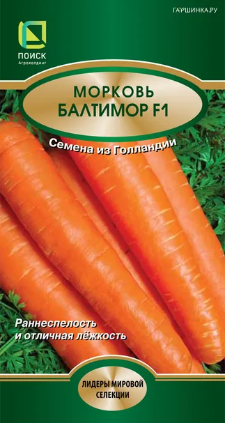 Морковь Балтимор F1 0,5, Поиск