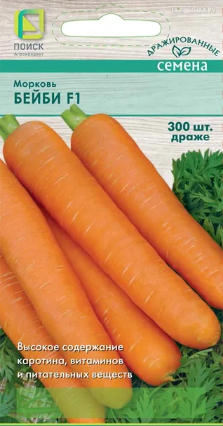 Морковь Бейби F1 (А) 2, Поиск