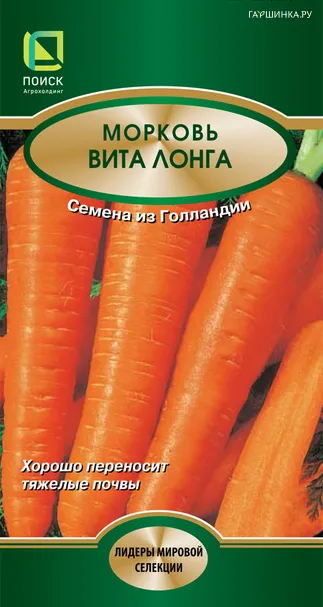 Морковь Вита Лонга 2, Поиск