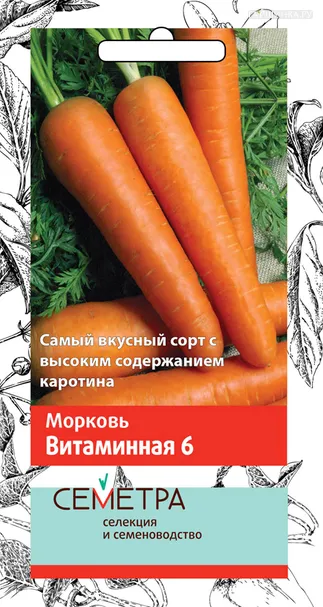 Морковь Витаминная 6 (А) 2, Поиск