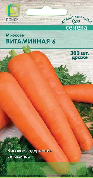 Морковь Витаминная 6 (А) 2, Поиск