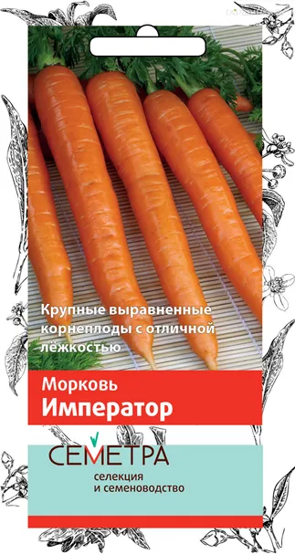 Морковь Император (А) 2, Поиск