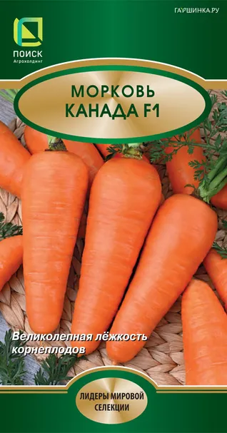 Морковь Канада F1 0,5, Поиск