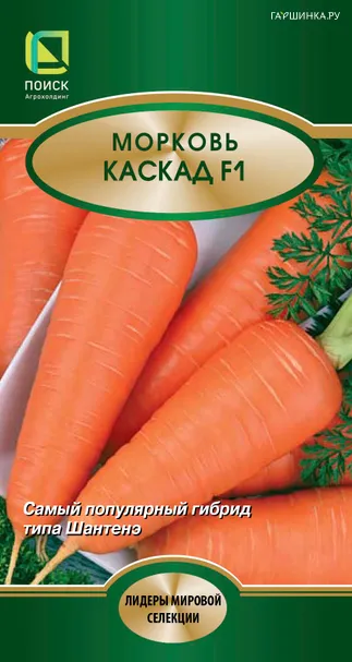 Морковь Каскад F1 0,5г, Семена Поиск