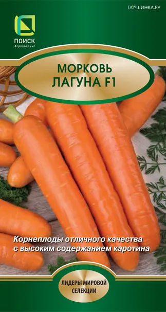 Морковь Лагуна F1 0,5, Поиск