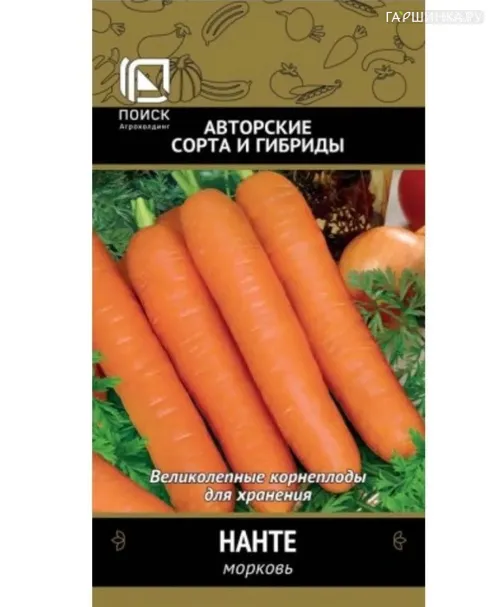 Морковь Нанте (А) 2, Поиск