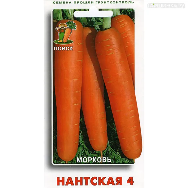 Морковь Нантская 4 2, Поиск