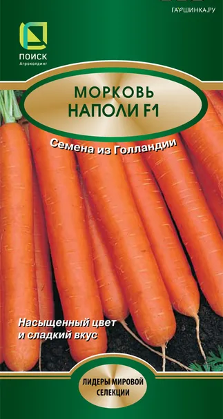 Морковь Наполи F1 0,5, Поиск