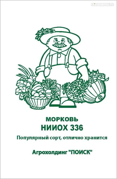 Морковь НИИОХ 336 2, Поиск
