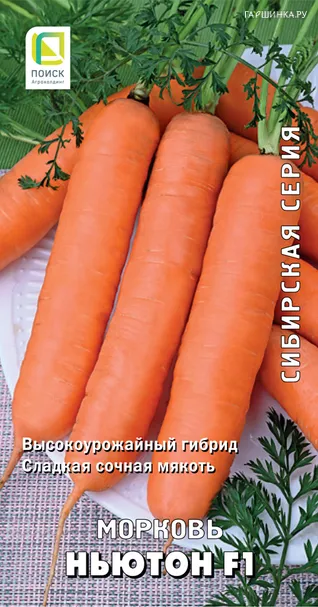 Морковь Ньютон F1 (А) 1, Поиск