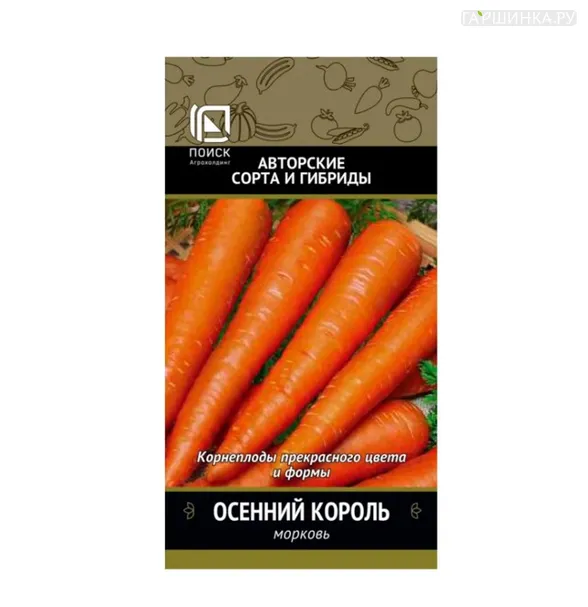 Морковь Осенний король (А) 2, Поиск