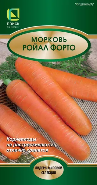 Морковь Ройал Форто 2, Поиск