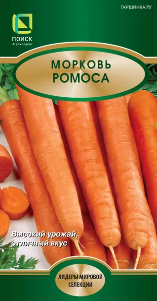 Морковь Ромоса 2, Поиск