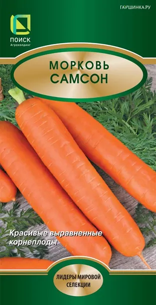 Морковь Самсон 2, Поиск
