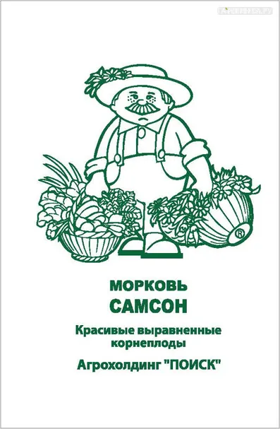 Морковь Самсон 1, Поиск
