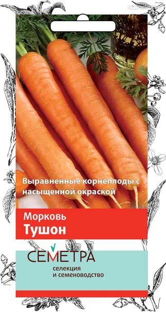 Морковь Тушон (А) 2, Поиск