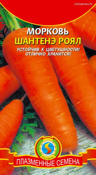 Морковь Шантенэ 2461 2, Поиск