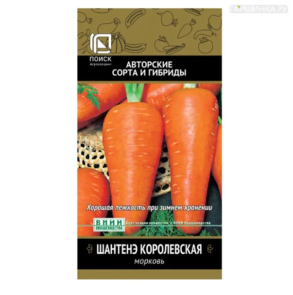 Морковь Шантенэ Королевская (А) 2, Поиск