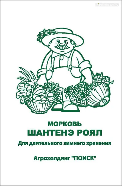 Морковь Шантенэ Роял 2, Поиск