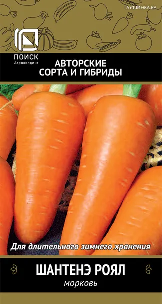 Морковь Шантенэ Роял (А) 2, Поиск