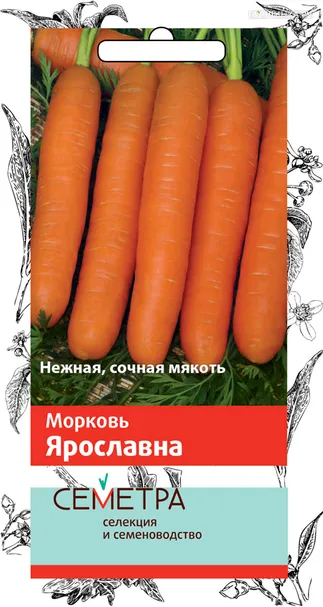 Морковь Ярославна (А) 2, Поиск