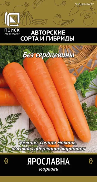 Морковь Ярославна (А) 2, Поиск