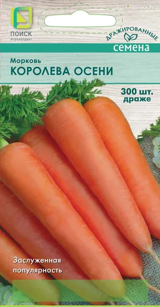 Морковь (Драже) Королева осени 300, Поиск