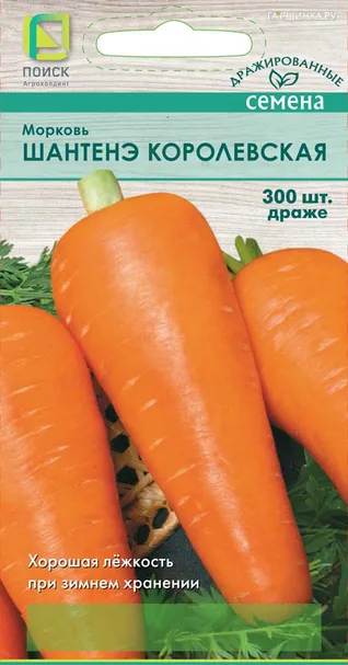 Морковь (Драже) Шантенэ Королевская (А) 300, Поиск